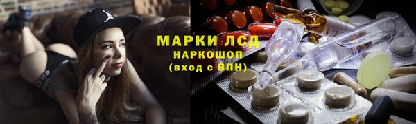 гидра Рославль
