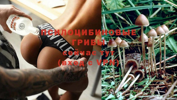 таблы Бронницы